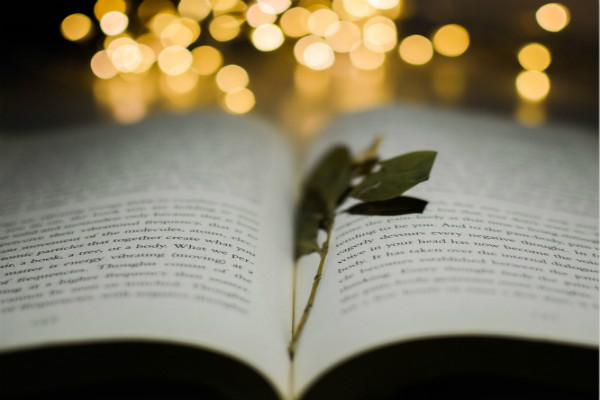 【教师年度考核个人总结】小学教师实习目的和要求范文 【教师年度考核个人总结】小学教师实习目的和要求范文